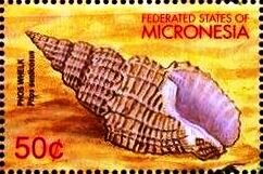 Colnect-5627-049-Phos-senticosus.jpg