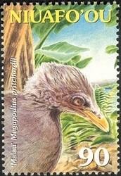 Colnect-1538-308-Tongan-Megapode-Megapodius-pritchardii.jpg