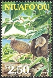 Colnect-1538-309-Tongan-Megapode-Megapodius-pritchardii.jpg