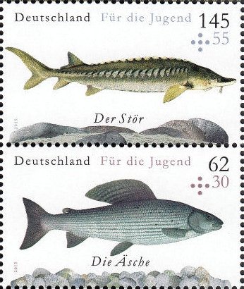 Colnect-5264-088-Grayling-Sturgeon.jpg