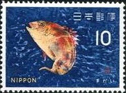 Colnect-497-881-Red-Seabream-Chrysophrys-major.jpg