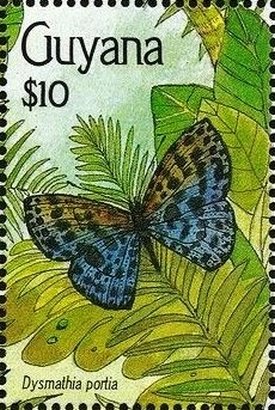 Colnect-3453-703-Butterfly-Dysmathia-portia.jpg