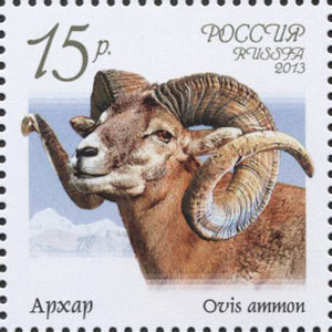 Colnect-1448-787-Argali-Ovis-ammon.jpg