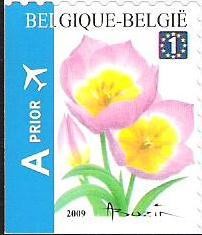Colnect-646-682-Tulip-Bakeri-Selfadh-Bottom--Left-imperf.jpg