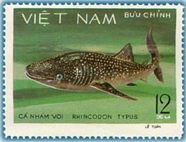 Colnect-480-343-Whale-Shark-Rhincodon-typus.jpg