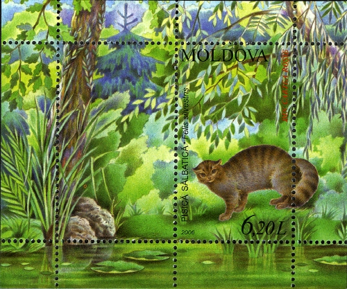 MD029MS.06.jpg