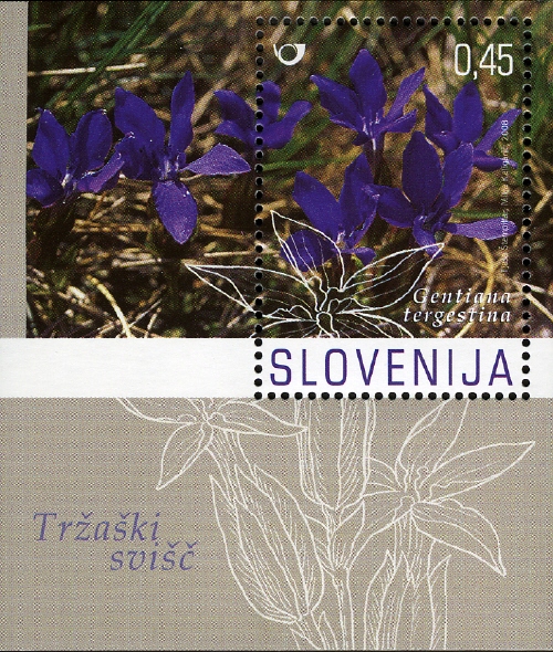 SI010MS.08.jpg