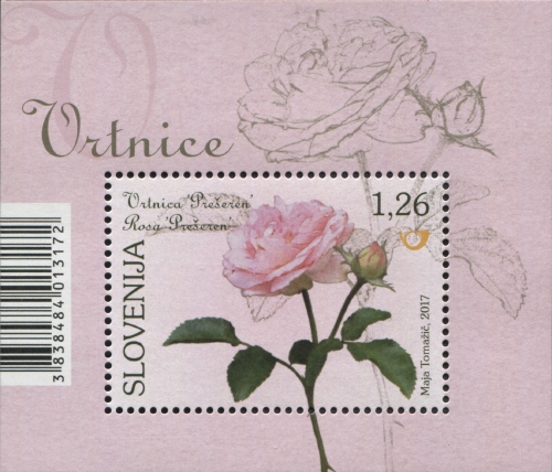 SI010MS.17.jpg