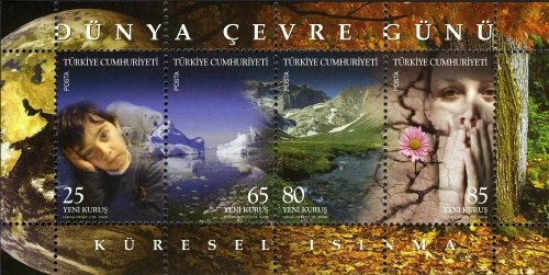 TR047MS.08.jpg