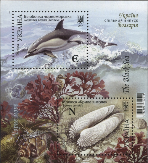 UA012MS.17.jpg