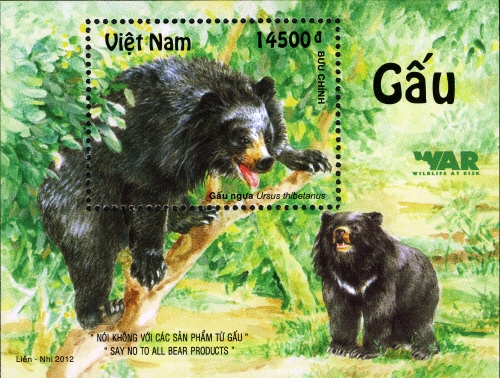 VN017MS.12.jpg