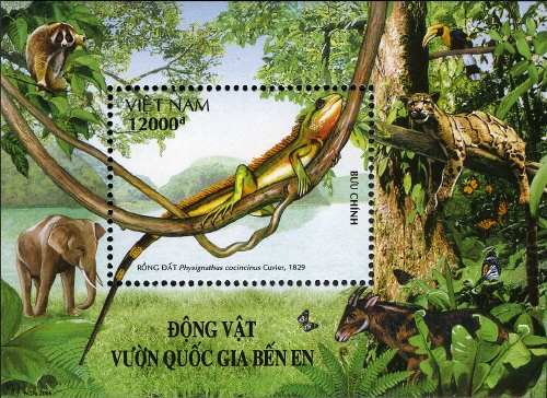 VN021MS.06.jpg
