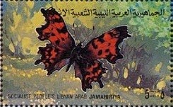 Colnect-1258-933-Comma-Butterfly-Polygonia-c-album.jpg
