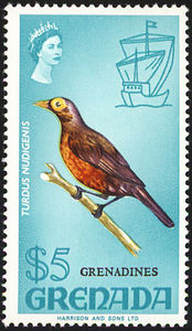 Colnect-1203-338-Spectacled-Thrush----Turdus-nudigenis.jpg