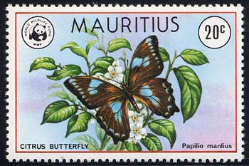 Skap-mauritius_02_bfly.jpg