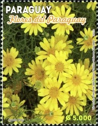 Colnect-2373-301-Flowers-from-Paraguay.jpg
