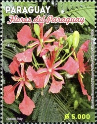 Colnect-2373-302-Flowers-from-Paraguay.jpg