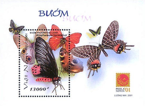 Colnect-1660-891-Aurora-Swallowtail-Atrophaneura-horishanus.jpg