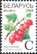 BY016.04.jpg