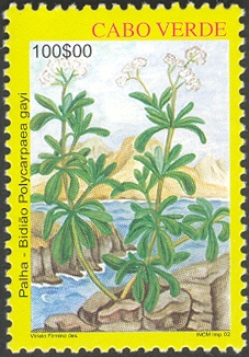 CV004.02.jpg
