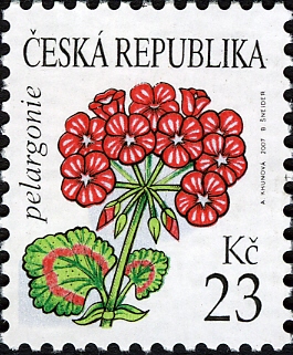 CZ019.07.jpg