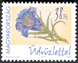 HU035.02.jpg