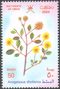 OM001.04.jpg