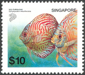 SG034.02.jpg