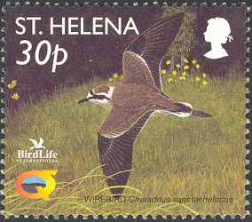 SH007.02.jpg