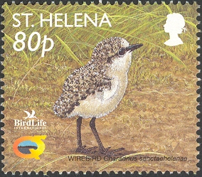 SH008.02.jpg