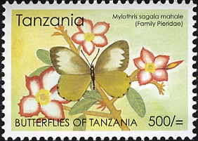 TZ047.05.jpg