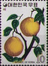 Colnect-2723-787-Pears.jpg