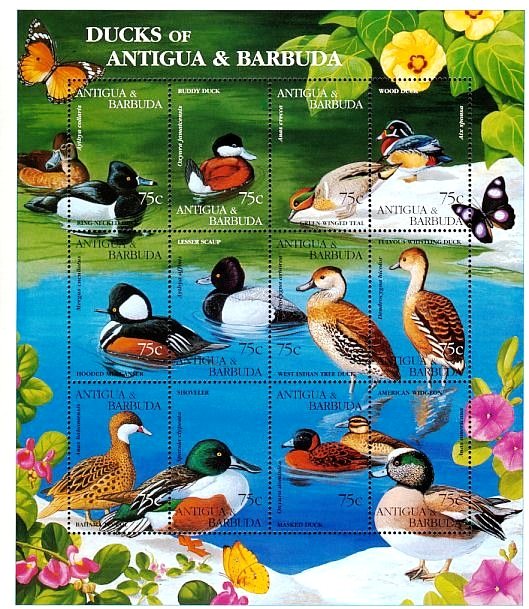Colnect-4116-718-Ducks.jpg