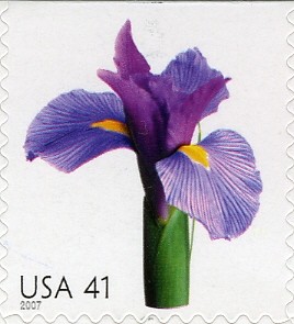 Colnect-887-788-Iris.jpg