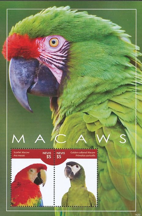 Colnect-4412-928-Macaws.jpg