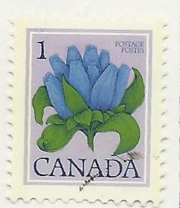 Colnect-1299-389-Bottle-Gentian.jpg