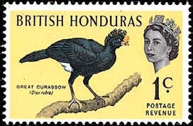 Colnect-596-892-Great-Curassow-Crax-rubra.jpg