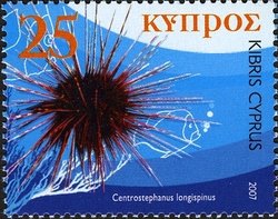 Colnect-627-827-Hatpin-Urchin-Centrostephanus-longispinus.jpg