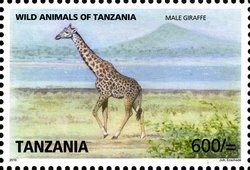 Colnect-1692-783-Giraffe-Giraffa-camelopardalis.jpg