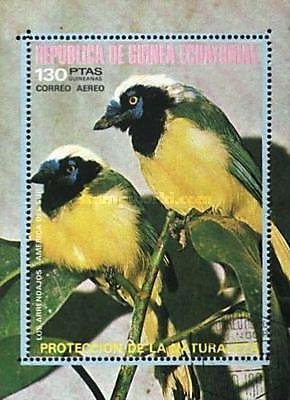 Colnect-2064-362-Green-Jay-Cyanocorax-yncas.jpg