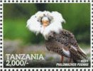 Colnect-3056-877-Ruff-Philomachus-pugnax.jpg