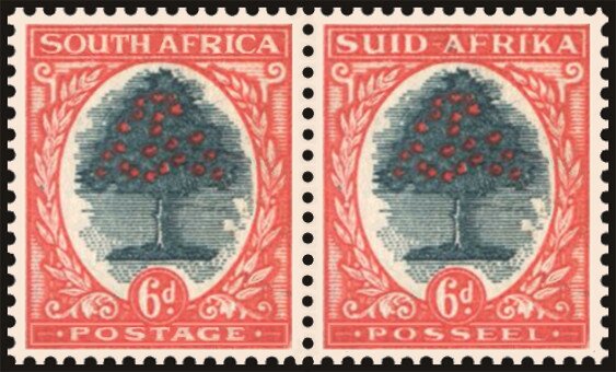 Colnect-5951-541-Orange-Tree-Citrus-sinensis.jpg