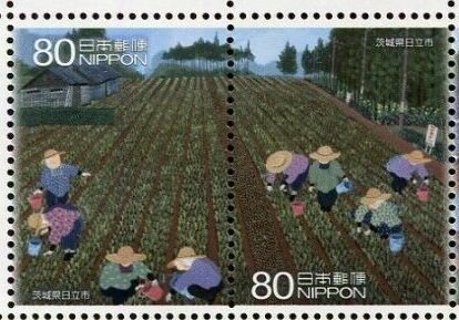 Colnect-5654-504-Seedling-Field---Hitachi-Ibaraki-Prefecture.jpg