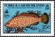 Colnect-4000-039-Red-Hind.jpg