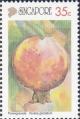 Colnect-2344-720-Pomegranate.jpg
