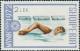 Colnect-5803-149-Swimming.jpg