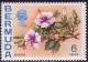 Colnect-1214-162-Hibiscus.jpg