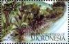 Colnect-5576-620-Mangroves.jpg