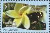Colnect-4821-062-Euploea-core.jpg