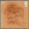Colnect-5588-812-Guelder-Rose.jpg